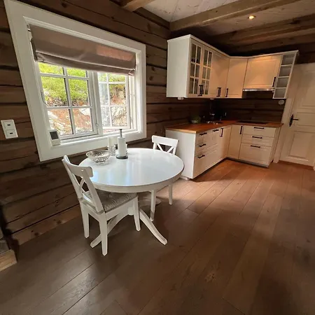 Luxurious 4 Bedroom Mountain With Gaustatoppen View Casa vacanze Gaustablikk